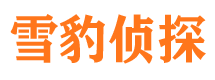 施甸侦探